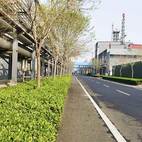 廠區道路